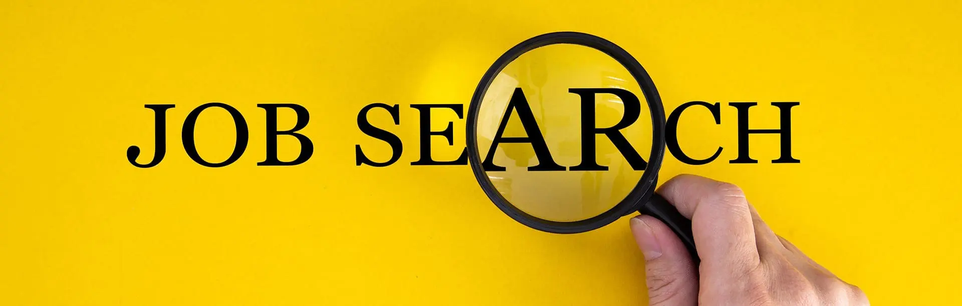 How To Leverage Your Experience When Searching for A New Job