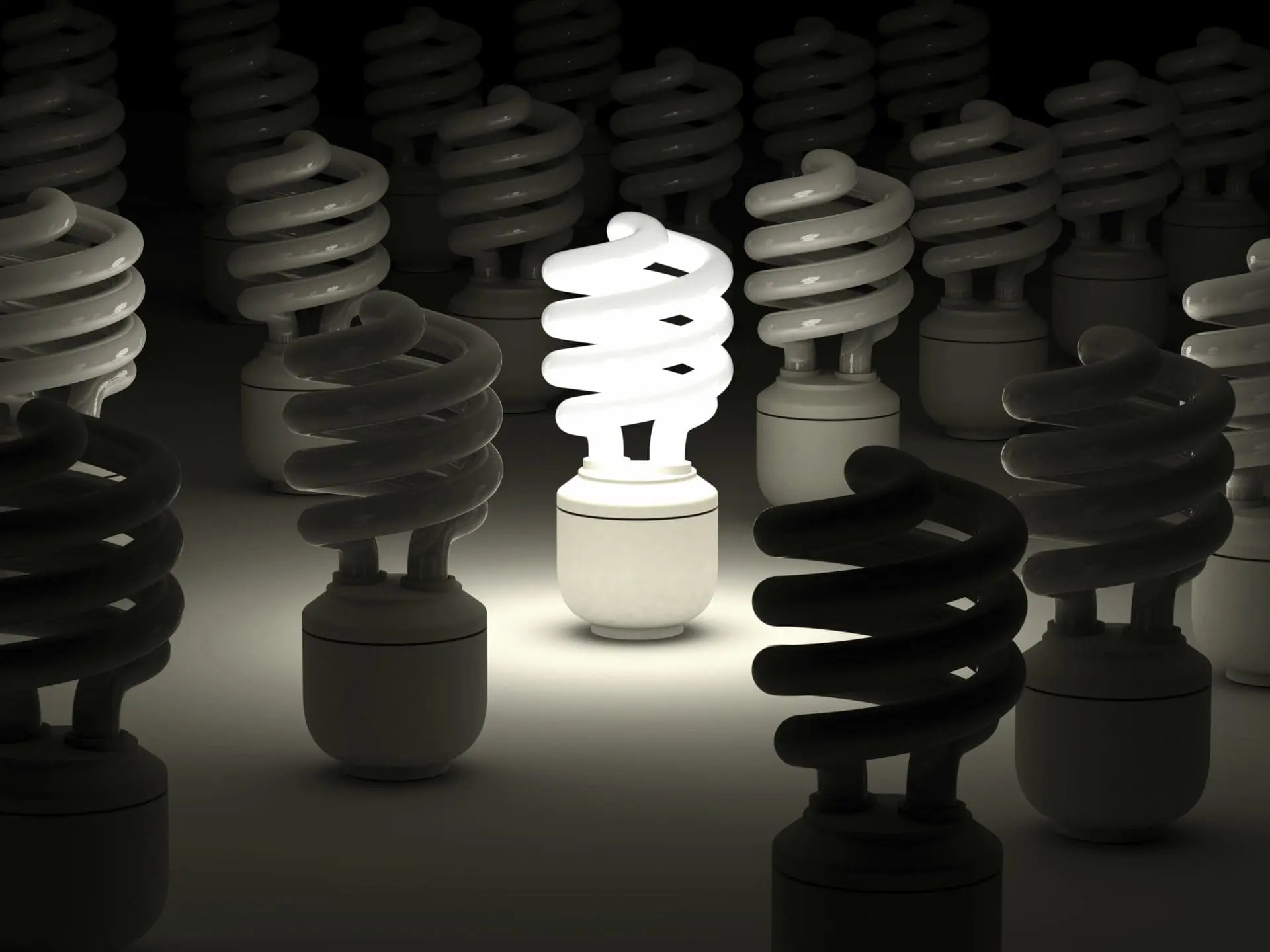 North State Companies, Entrepreneurs in the Spotlight