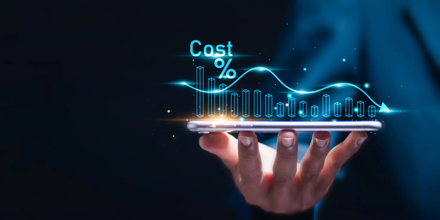 How to Optimize Your Salesforce Investments?
