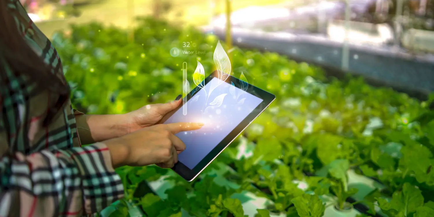 DIGITAL TRANSFORMATION IN AGRICULTURE