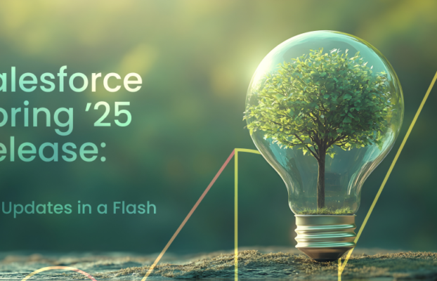 Salesforce Spring ‘25 Release: Key Updates in a Flash