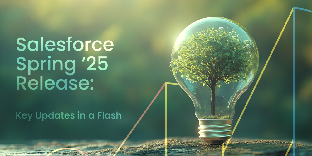 salesforce spring 25 release